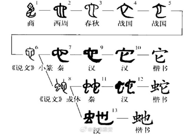 蛇年蛇月蛇日蛇时,蛇年蛇月蛇日蛇时有什么说法