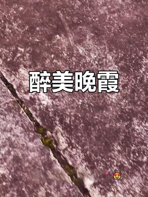 解决方案 第12页