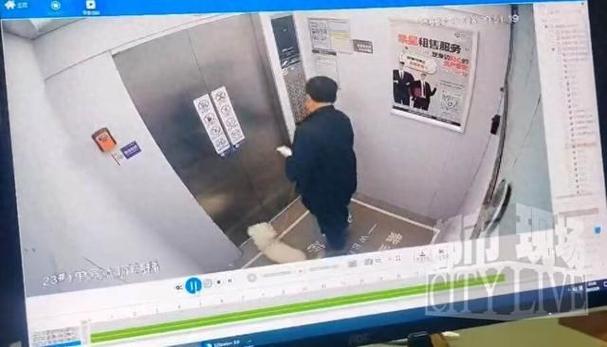 客户服务 第8页